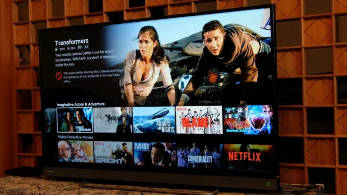 Can I Fast Forward Through Netflix Streaming Content