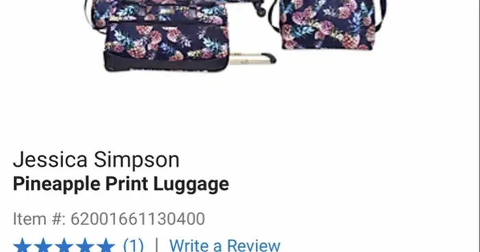 Can I Bring A Pineapple In My Carry On When You Travel