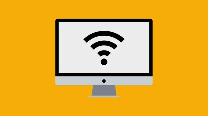 Can I Use The Wi Fi Logo Find Out What You Need To Know